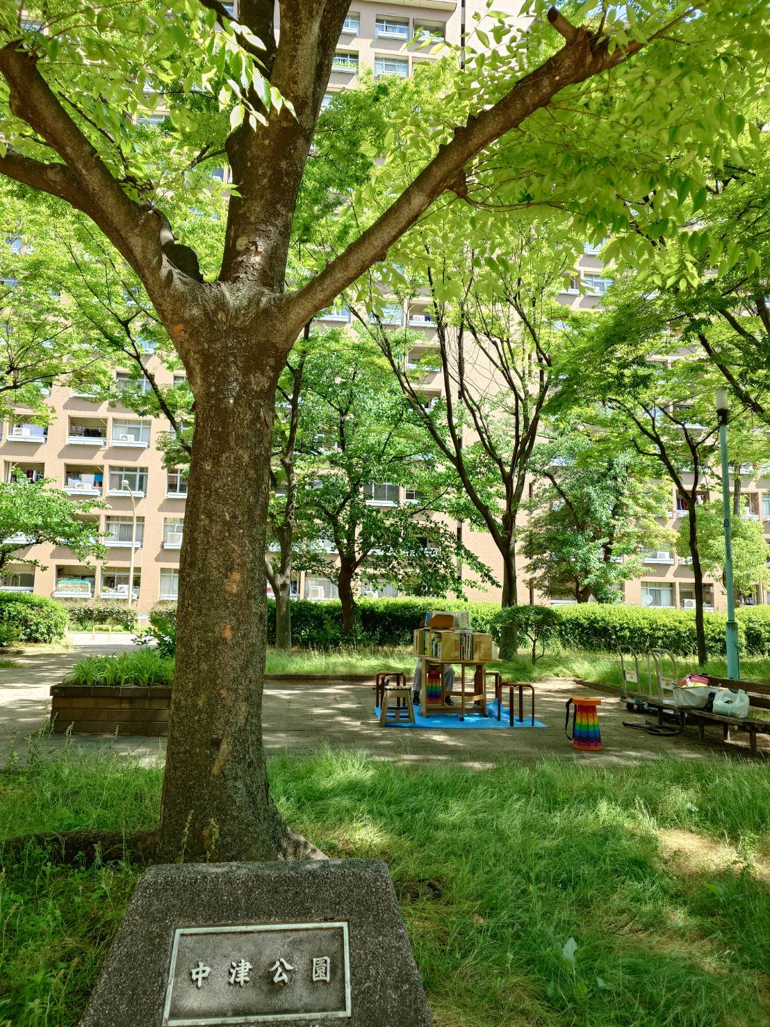 緑陰文庫の会場となる中津公園